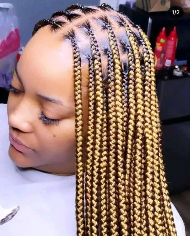 Lady's coiffure (8)
